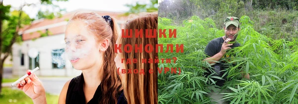 Альфа ПВП Козельск